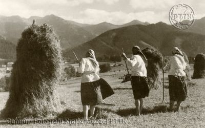 Tatry, sianokosy