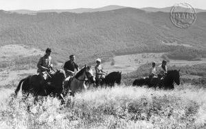 Bieszczady (7)