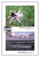 Krajobraz w obiektywie 2025