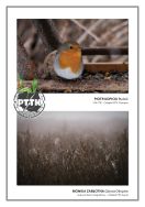 Krajobraz w obiektywie 2025