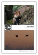 Krajobraz w obiektywie 2025