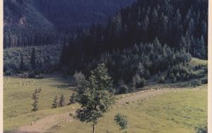 Tatrzańskie pejzaże