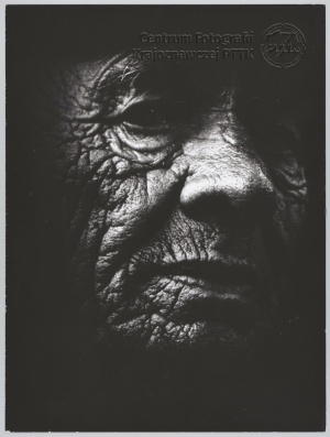 Powstaniec Śląski - portret