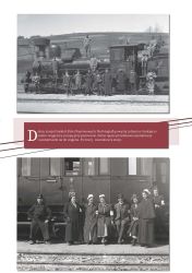 Na szklanych negatywach