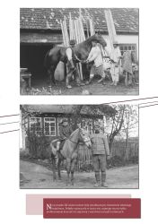 Na szklanych negatywach