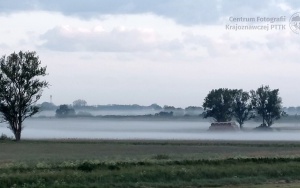 W drodze do Koszalina